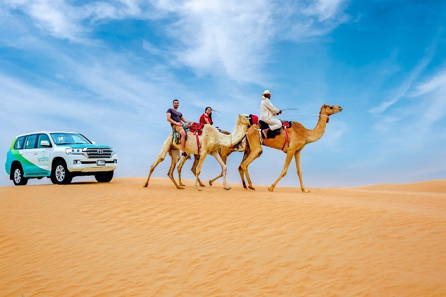 Desert adventure with camels and 4x4